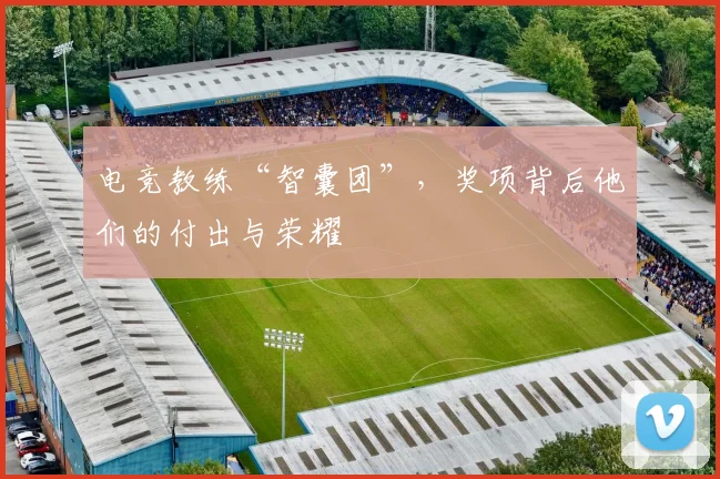 电竞教练“智囊团”,奖项背后他们的付出与荣耀