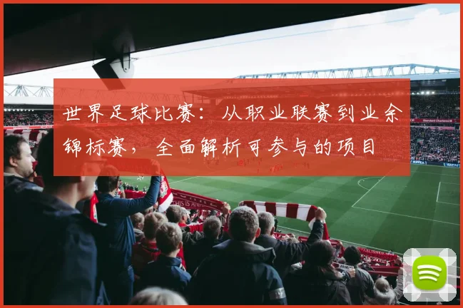 世界足球比赛:从职业联赛到业余锦标赛,全面解析可参与的项目