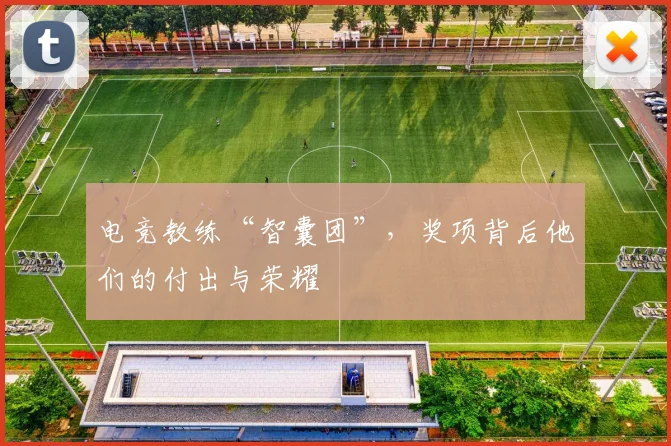 电竞教练“智囊团”，奖项背后他们的付出与荣耀